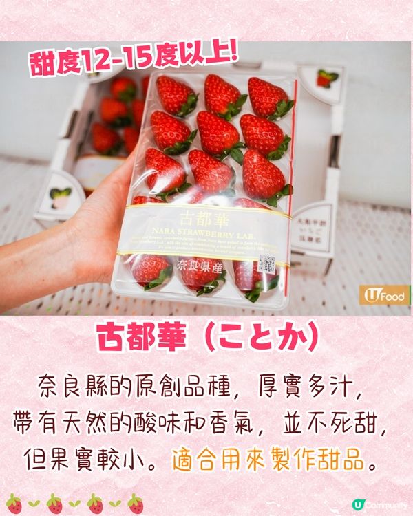 日本士多啤梨神級食法！搭配「呢樣食物」味道昇華附熱門品種攻略