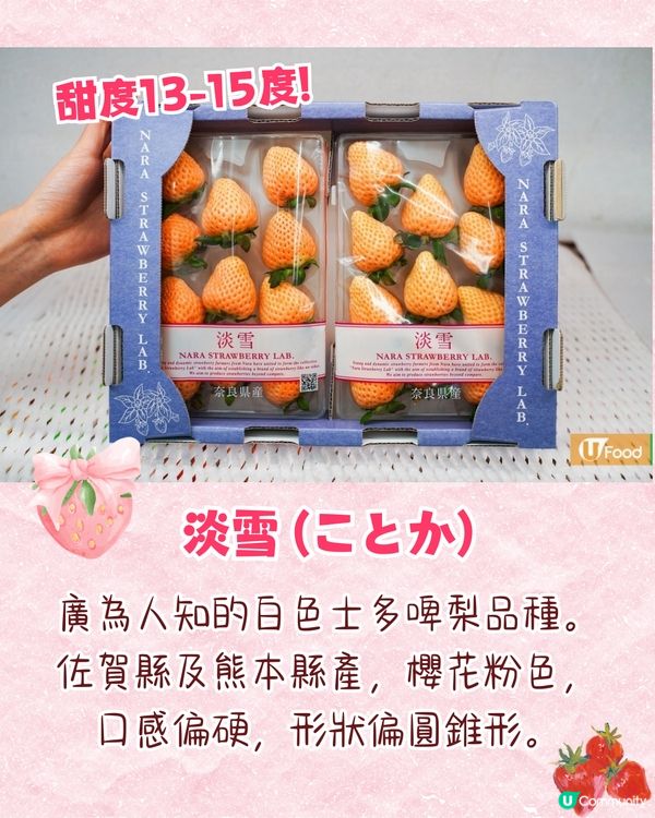 日本士多啤梨神級食法！搭配「呢樣食物」味道昇華附熱門品種攻略