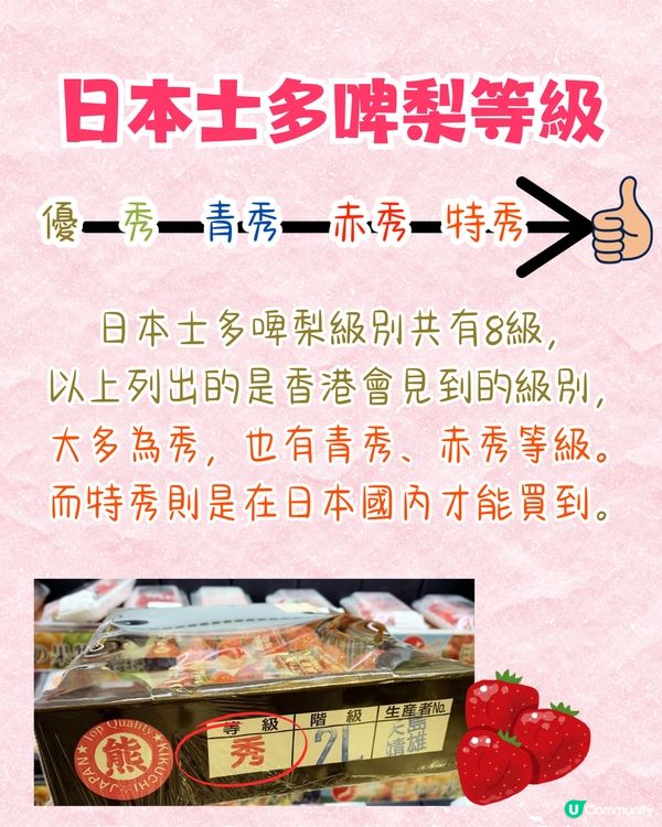 日本士多啤梨神級食法！搭配「呢樣食物」味道昇華附熱門品種攻略