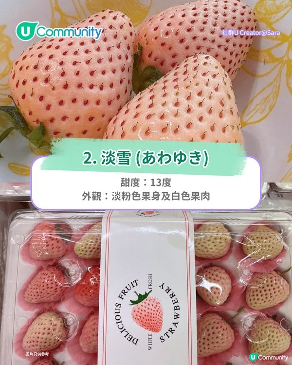 日本士多啤梨2025｜九州摘士多啤梨5大果園推介🍓熱門品種任摘任食！