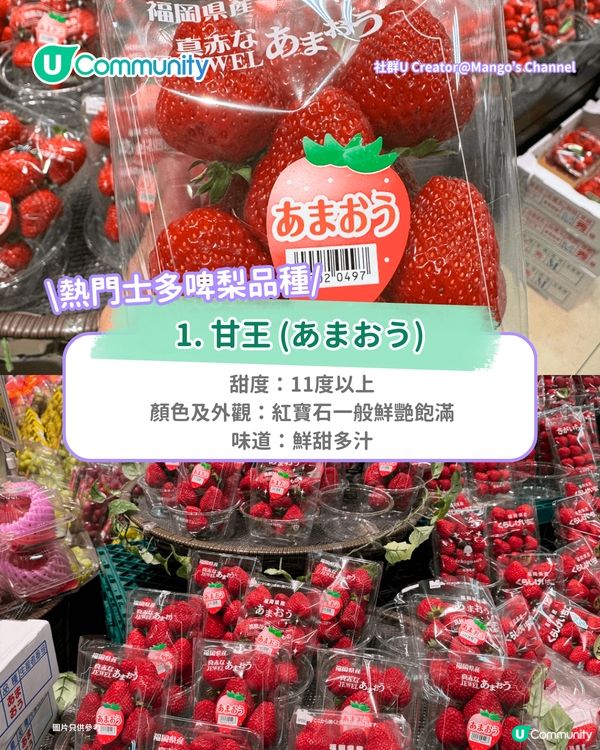 日本士多啤梨2025｜九州摘士多啤梨5大果園推介🍓熱門品種任摘任食！