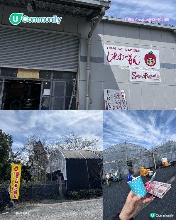 日本士多啤梨2025｜九州摘士多啤梨5大果園推介🍓熱門品種任摘任食！