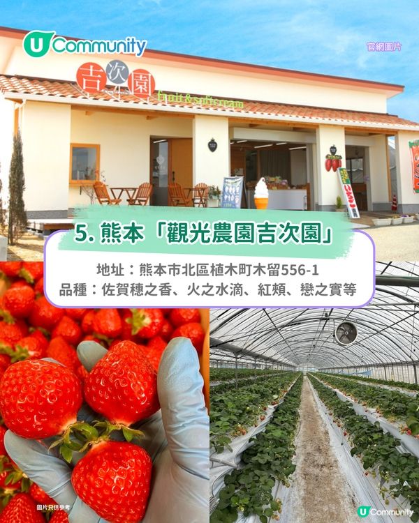 日本士多啤梨2025｜九州摘士多啤梨5大果園推介🍓熱門品種任摘任食！