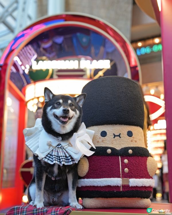 聖誕去邊度？朗豪坊薯誕百貨！🎄📸