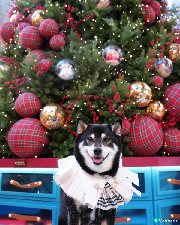 聖誕去邊度？朗豪坊薯誕百貨！🎄📸