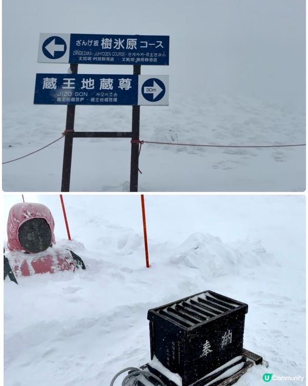 1.  藏王樹冰❄️！雪怪森林等你嚟探險！🏔️🤩