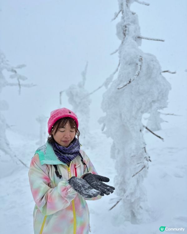 1.  藏王樹冰❄️！雪怪森林等你嚟探險！🏔️🤩