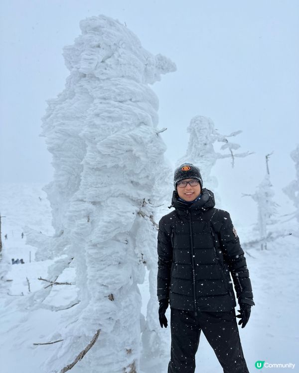 1.  藏王樹冰❄️！雪怪森林等你嚟探險！🏔️🤩