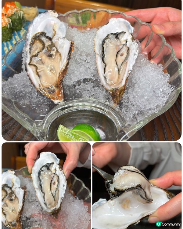 🎀佐敦｡25年老店創新日式料理🌟🎀