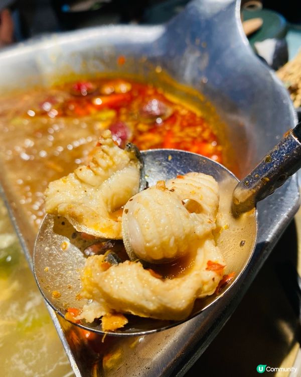 大圍➡️➡️➡️湊湊火鍋‧茶憩