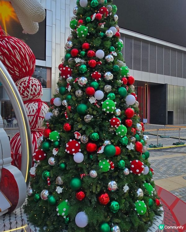 如心廣場chill織熊