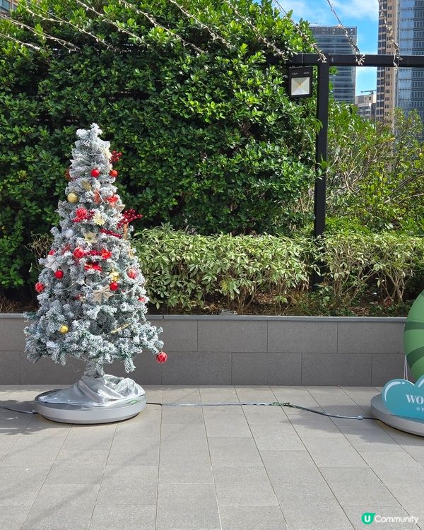 荃灣廣場 聖誕燈飾