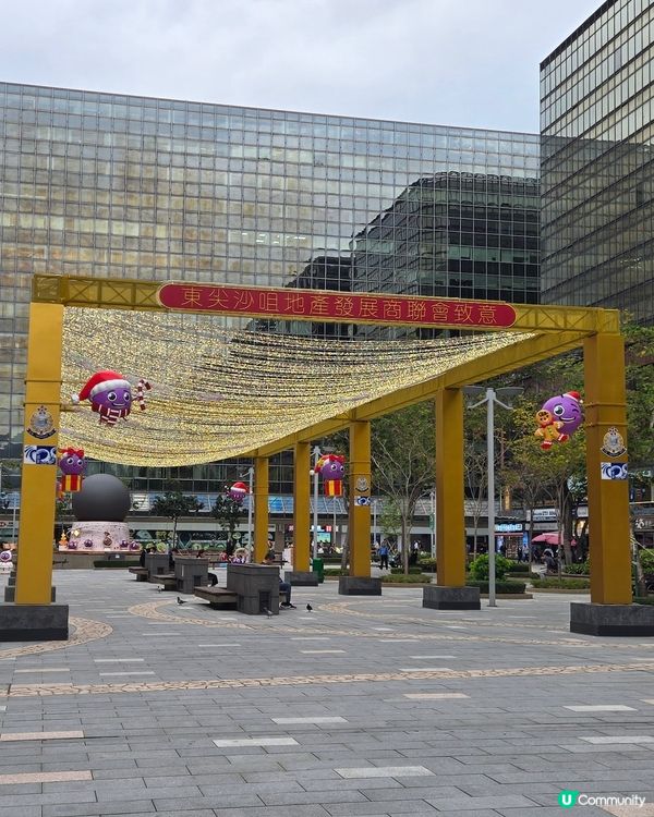 尖東公園 一街提子