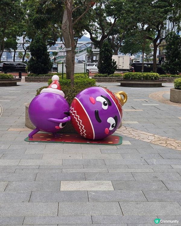 尖東公園 一街提子