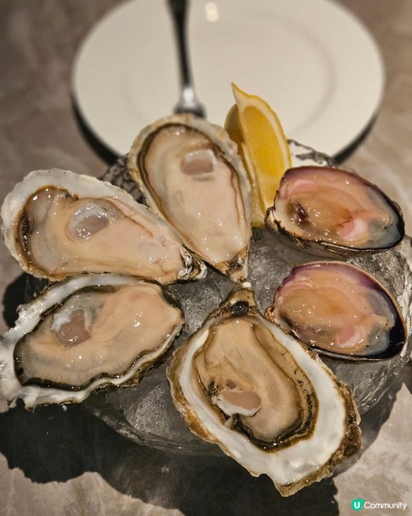 澳洲生蠔二刷🤤！羊鞍安格斯都正！🥩