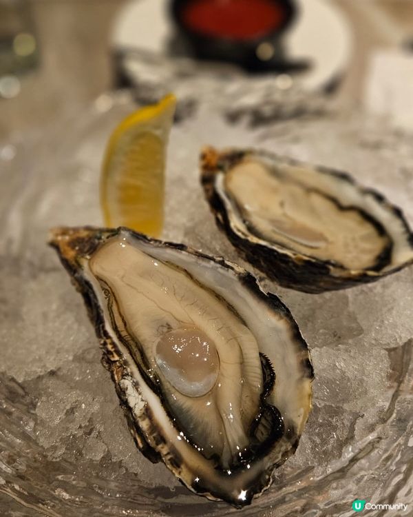 澳洲生蠔二刷🤤！羊鞍安格斯都正！🥩