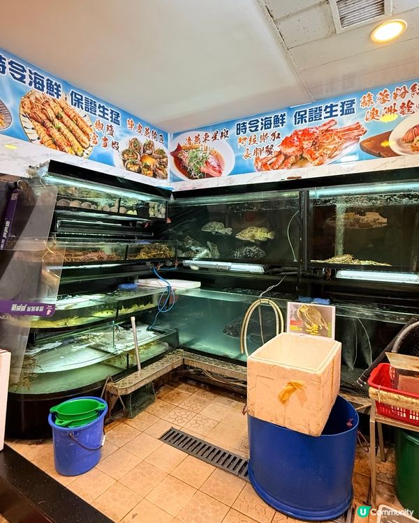太子小炒王！米芝蓮都推介🤩 港味十足！