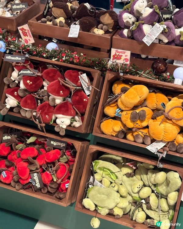 毛公仔快閃店開鑼！萌爆康城！😍