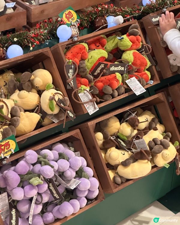 毛公仔快閃店開鑼！萌爆康城！😍