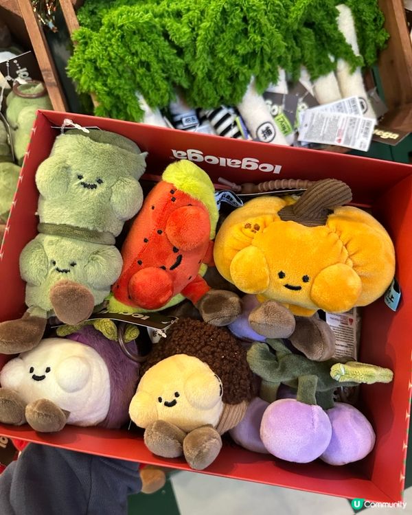 毛公仔快閃店開鑼！萌爆康城！😍