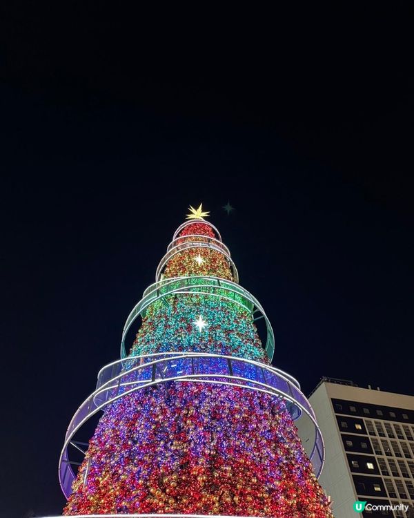 中環聖誕🎄！20米高巨樹閃爆✨！ #聖誕打卡