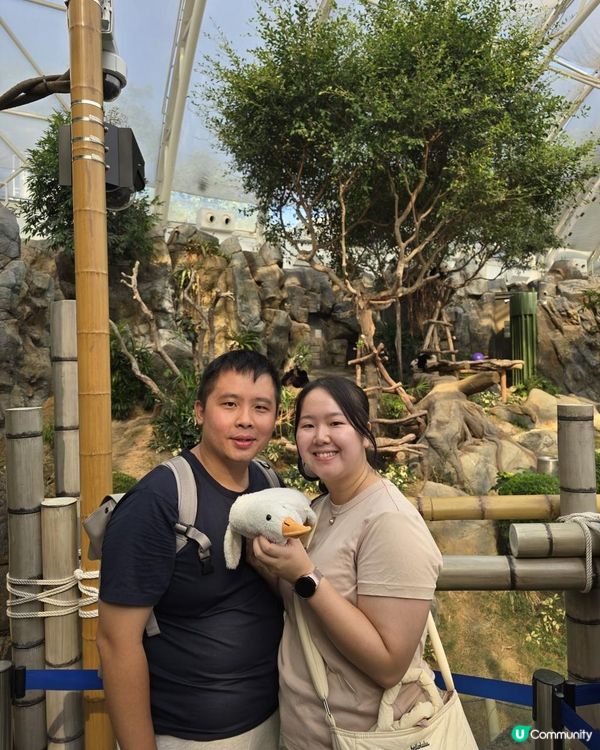 【香港人生日優惠】海洋公園生日免費入場🎂｜無處不熊貓｜大熊