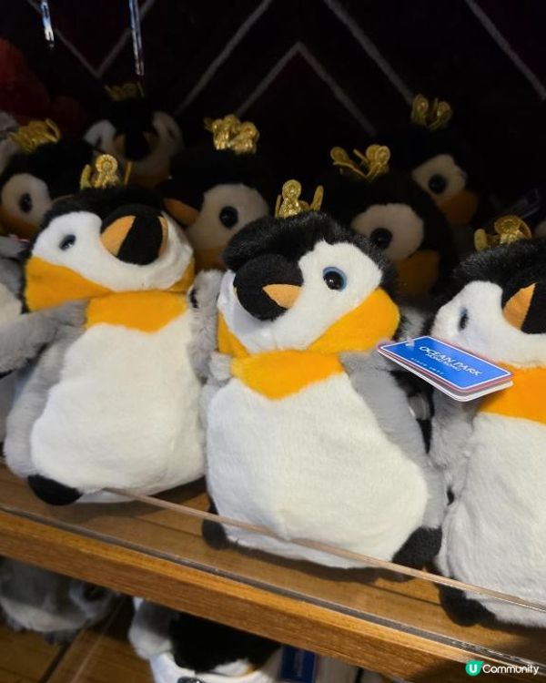 【香港人生日優惠】海洋公園生日免費入場🎂｜無處不熊貓｜大熊