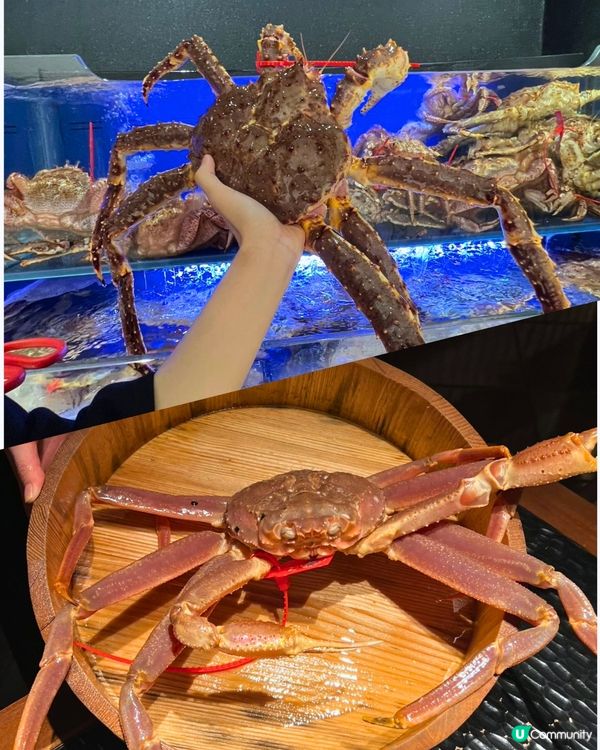 蟹道蟹宴開箱！🦀 鮮甜爆燈！😋