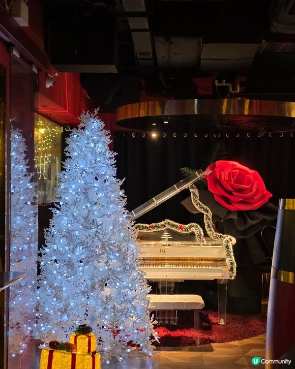 fine dinner 好去處鹿肉晚餐