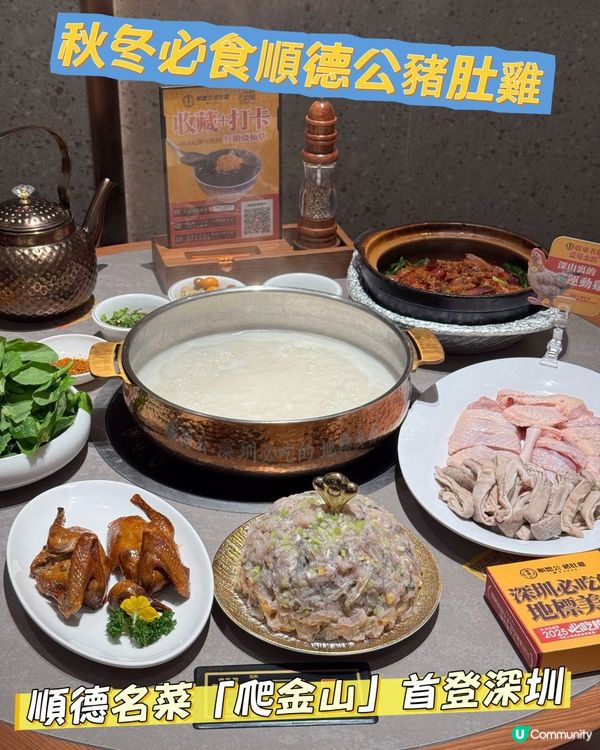 【深圳必食】順德公豬肚雞🤤暖笠笠！