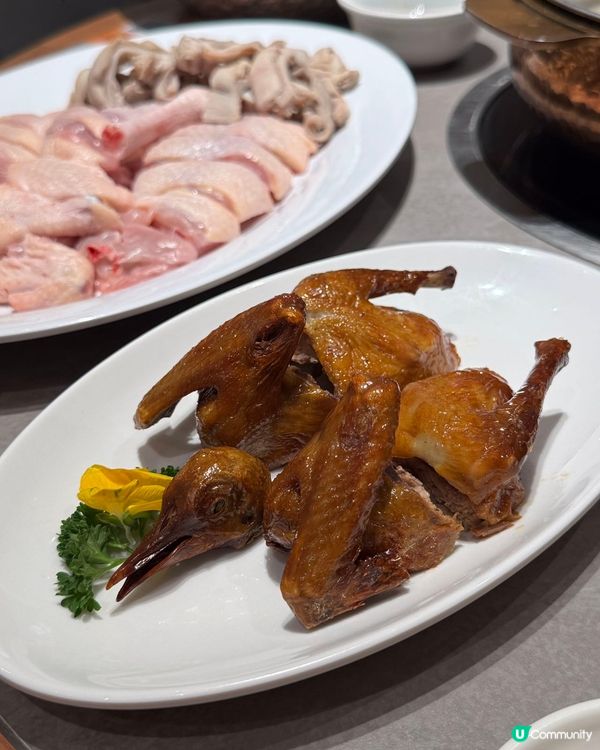 【深圳必食】順德公豬肚雞🤤暖笠笠！