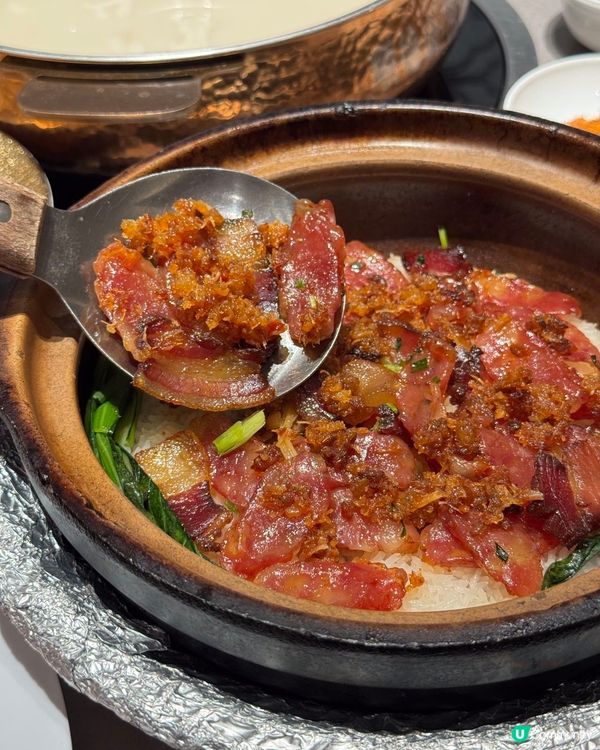 【深圳必食】順德公豬肚雞🤤暖笠笠！