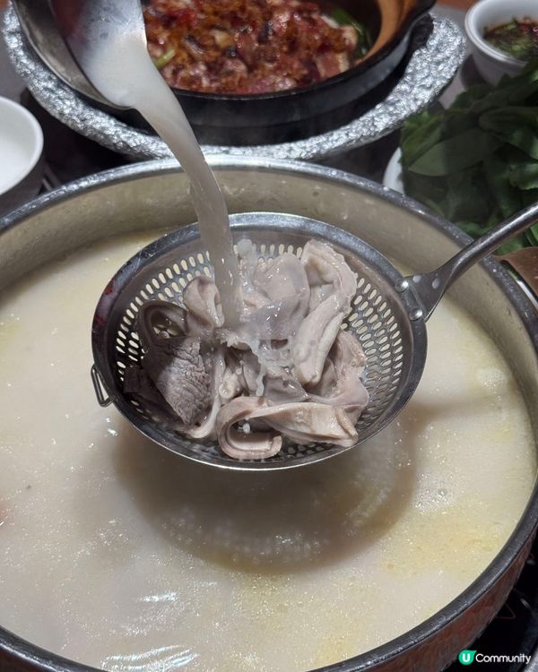 【深圳必食】順德公豬肚雞🤤暖笠笠！