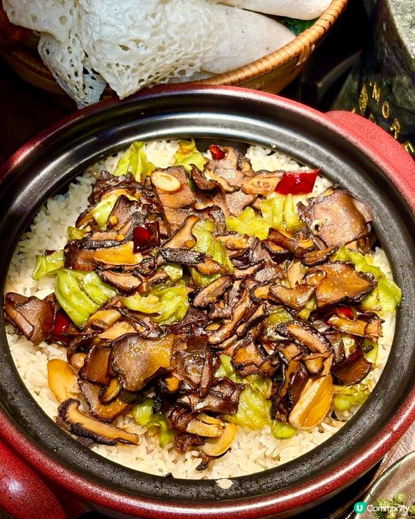 天氣轉涼必食！雞煲🤤 蘑界石鍋雞🔥