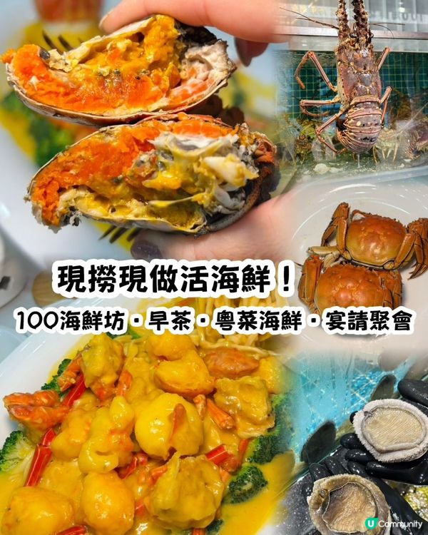 100海鮮坊🤤！活海鮮🦞任你揀！超抵食！😋
