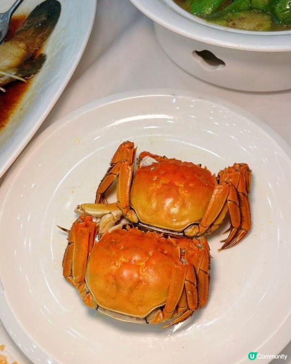 100海鮮坊🤤！活海鮮🦞任你揀！超抵食！😋