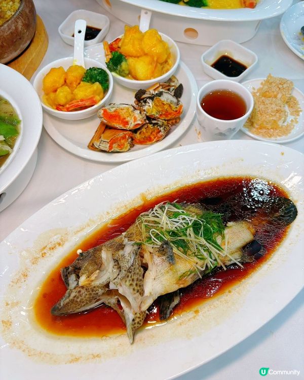 100海鮮坊🤤！活海鮮🦞任你揀！超抵食！😋