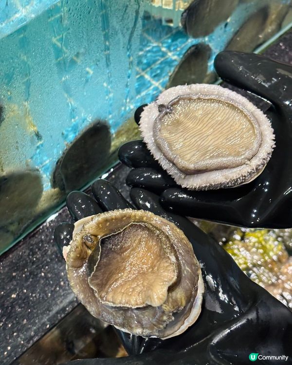 100海鮮坊🤤！活海鮮🦞任你揀！超抵食！😋