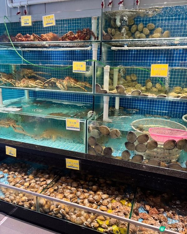 100海鮮坊🤤！活海鮮🦞任你揀！超抵食！😋