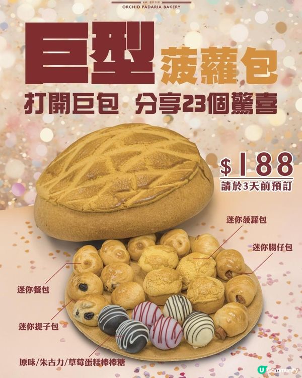 【🍍菠蘿包娃娃定係俄羅斯包包？🪆】