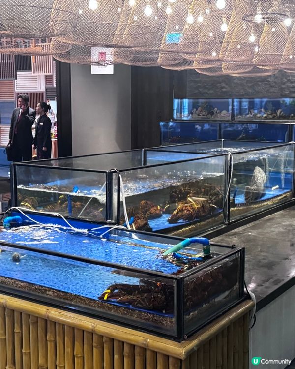 上葡京自助山🤤！海鮮控必去！🦀🦞 甜品超正！😋