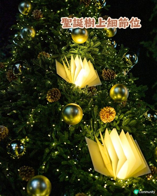 🎄深圳萬象天地 Mixture Wonder Tale ✨10米聖誕書屋+150米森林大道等緊你❄️