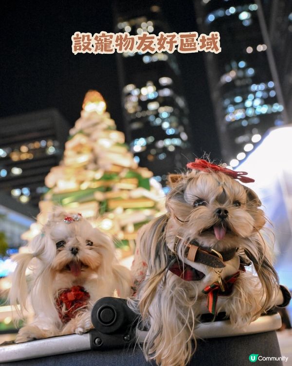 🎄深圳萬象天地 Mixture Wonder Tale ✨10米聖誕書屋+150米森林大道等緊你❄️