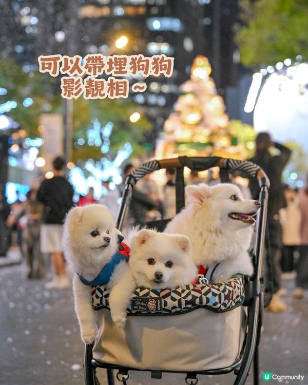 🎄深圳萬象天地 Mixture Wonder Tale ✨10米聖誕書屋+150米森林大道等緊你❄️