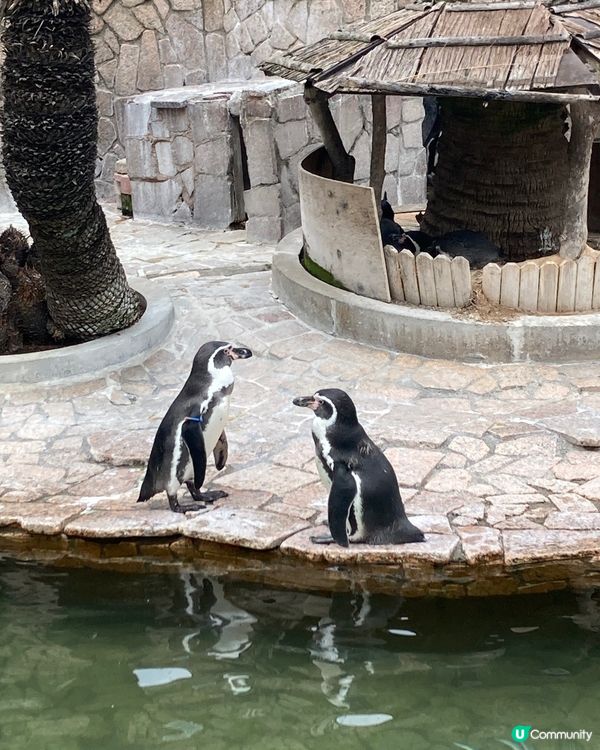 免費動物園！小朋友放電好去處 🥳