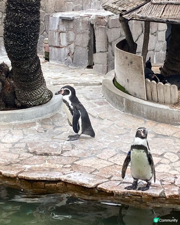 免費動物園！小朋友放電好去處 🥳