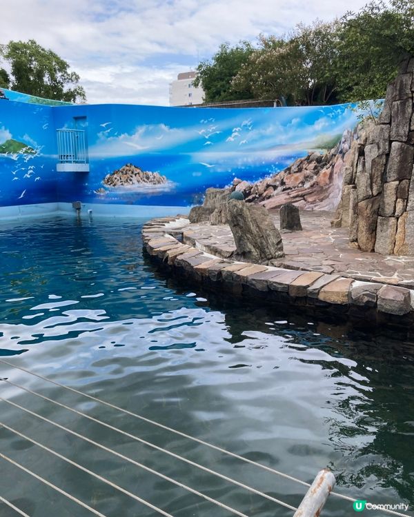 免費動物園！小朋友放電好去處 🥳