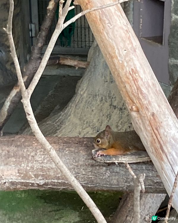 免費動物園！小朋友放電好去處 🥳