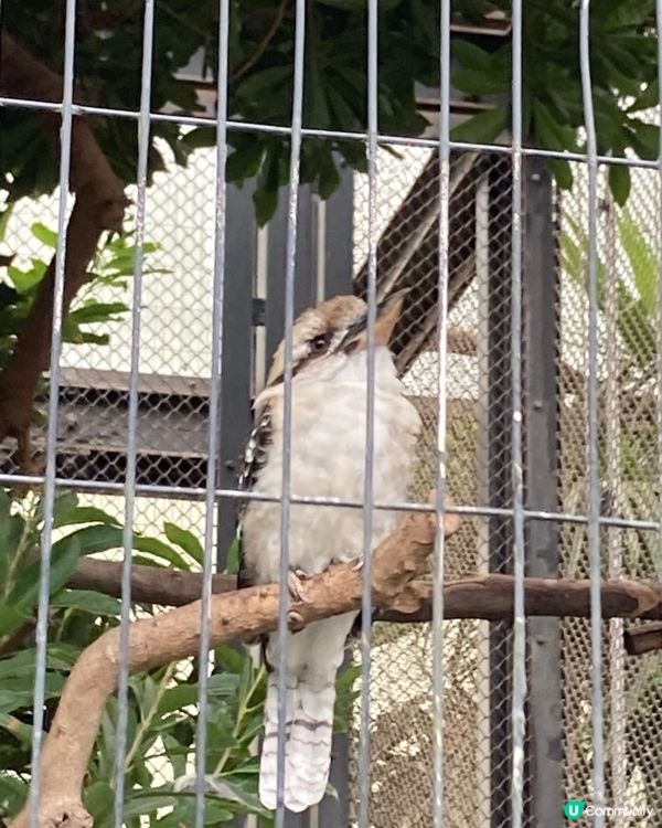 免費動物園！小朋友放電好去處 🥳