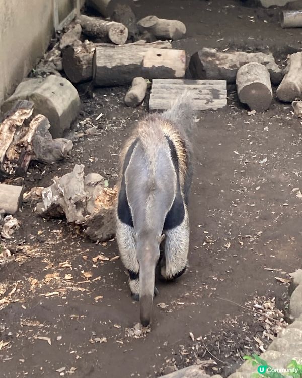免費動物園！小朋友放電好去處 🥳